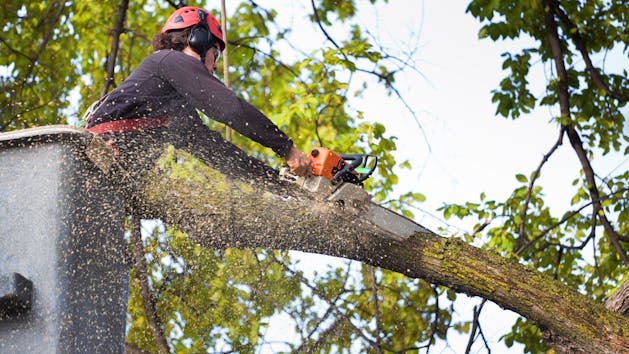 Leveraging Tech for a Safer Landscaping Fleet